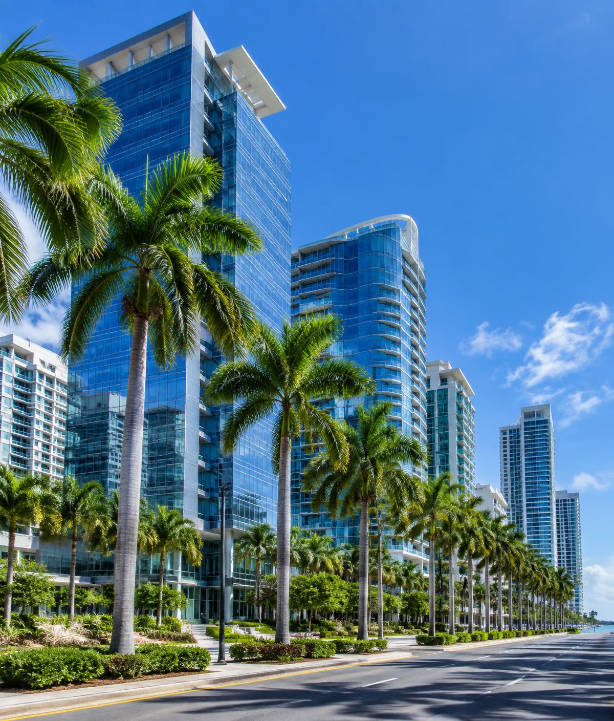 Modern office towers and palm trees in San Juan, Puerto Rico